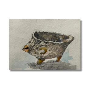 A Hedgehog of Salt